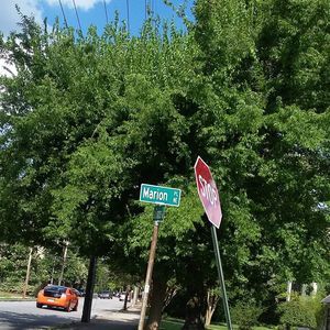 Meet your Posher, Marion